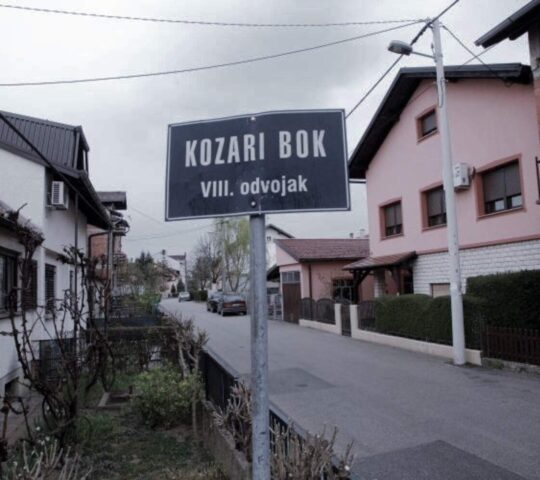 Kozari Bok